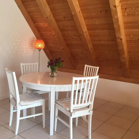 Im Schlossgartenhaus Am Bodensee Mit Balkon Und Gartenterrasse In Apartmán Kostnice