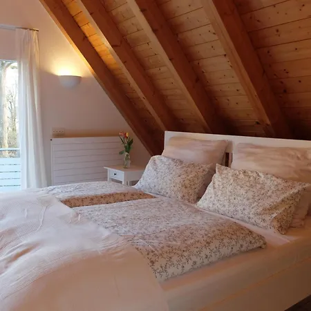 公寓 Im Schlossgartenhaus Am Bodensee Mit Balkon Und Gartenterrasse In 康斯坦茨