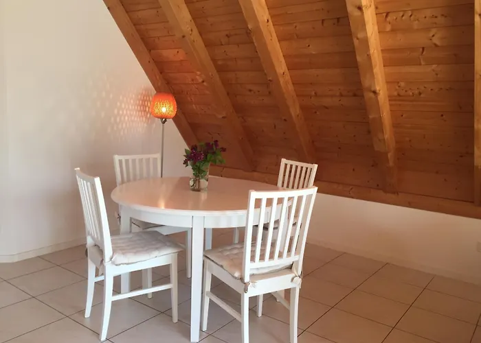 Im Schlossgartenhaus Am Bodensee Mit Balkon Und Gartenterrasse In 公寓 康斯坦茨