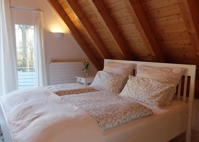 公寓 Im Schlossgartenhaus Am Bodensee Mit Balkon Und Gartenterrasse In 康斯坦茨